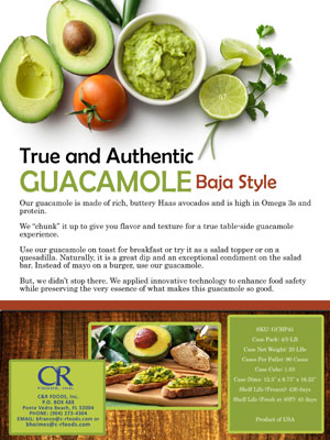 guacamolebajastylewebsite